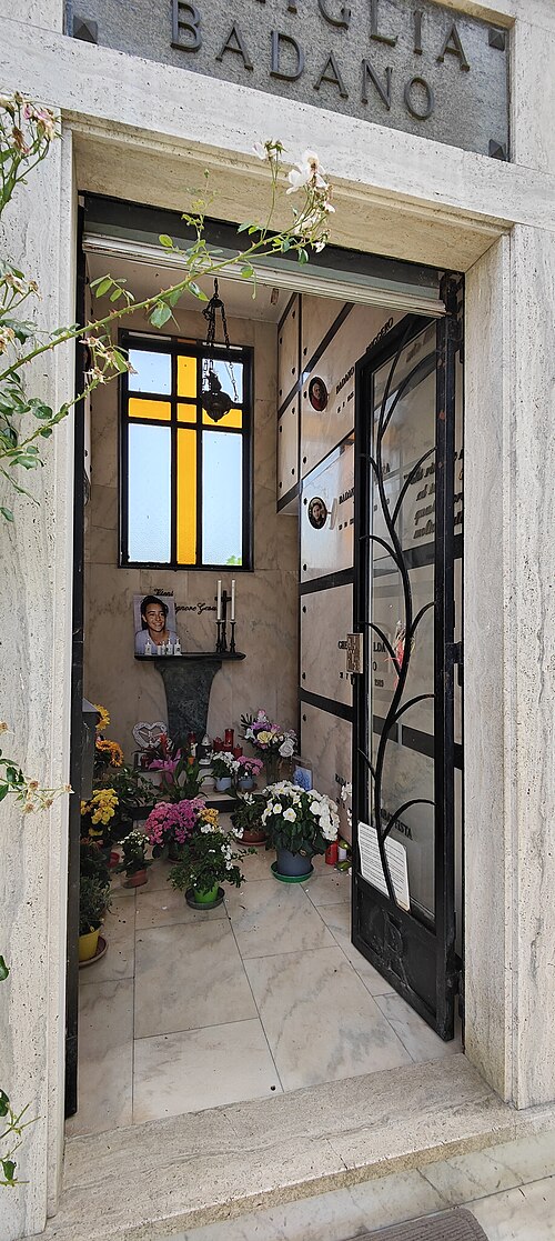 Portrait of Bl. Chiara Badano