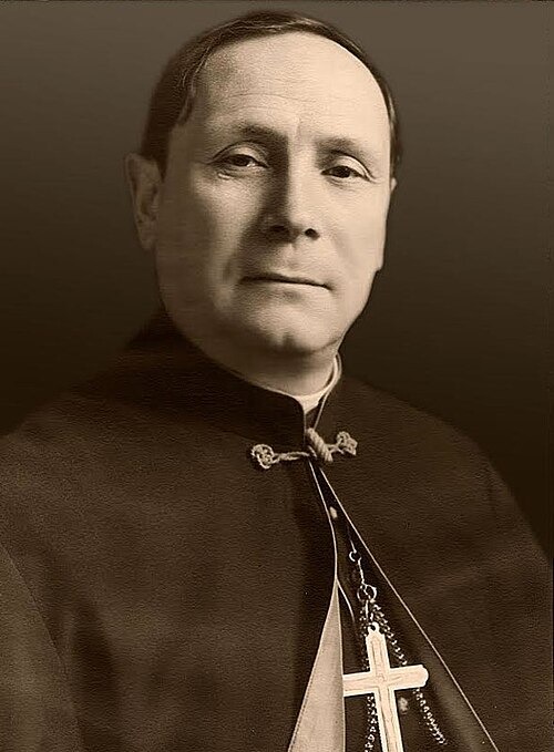 Portrait of Bl. Iuliu Hossu