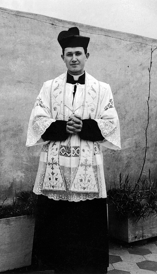 Portrait of Bl. Miroslav Bulešić