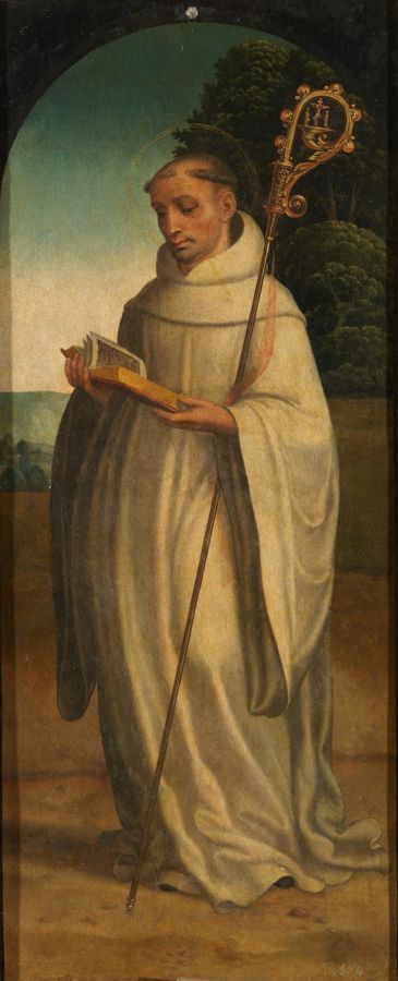 St. Bernard